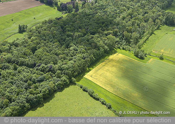 agriculture - Hesbaye